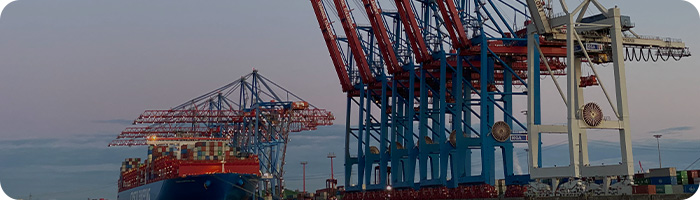 Internal and external trade